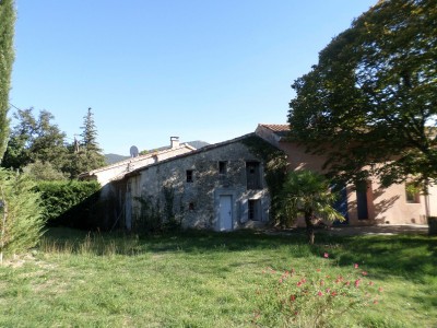 Avant